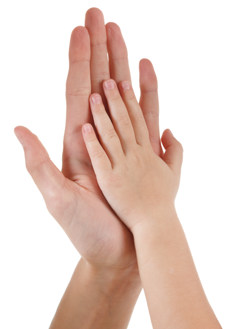 Adult and child hands together